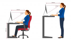 Ergonomics,Women,Correct,Sitting,And,Standing,Posture,When,Using,A
